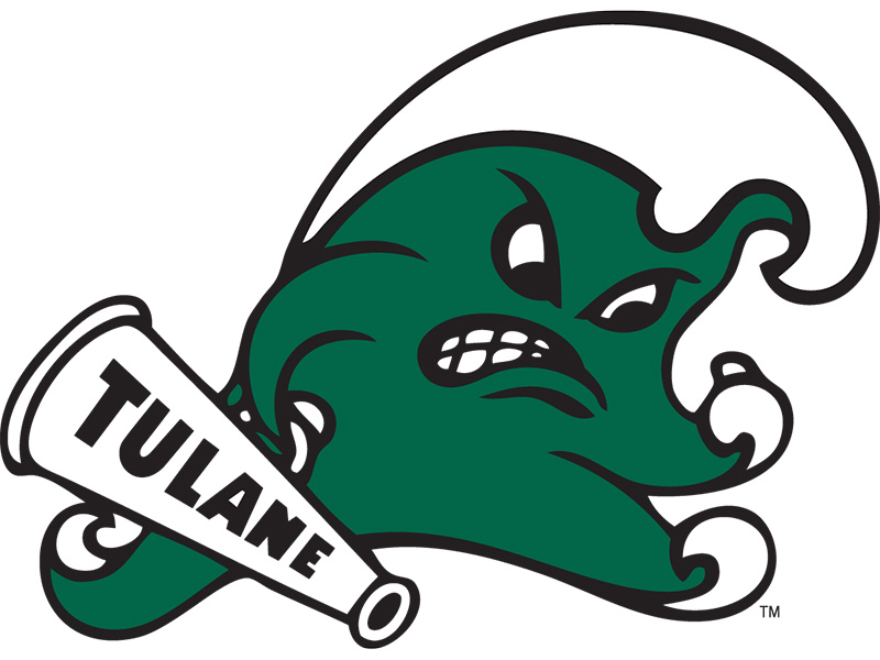 Diy Tulane Green Wave Iron-on Transfers (Wall Stickers)NO.6617